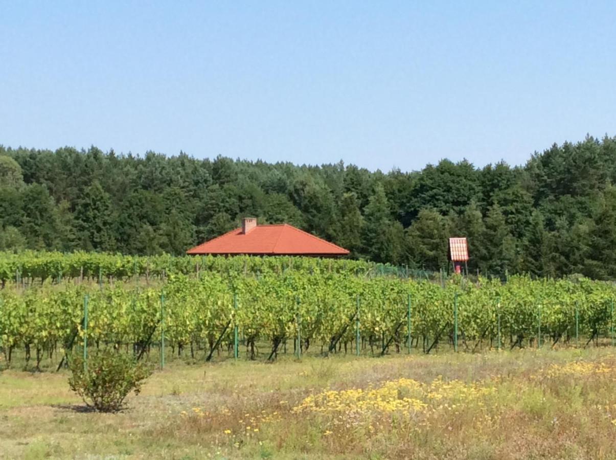 Winnica "Zabi Raj" Skarszewy Esterno foto
